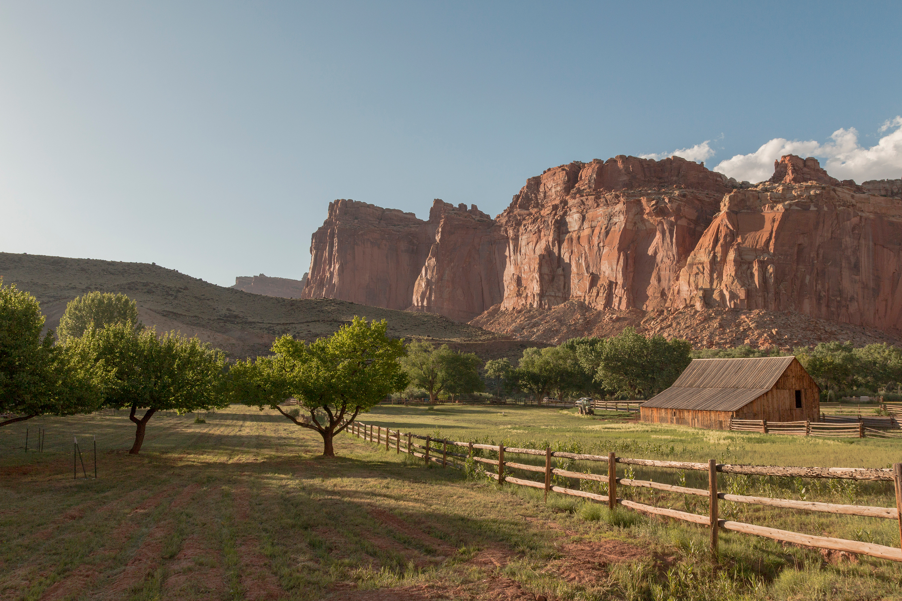 Pick Free Fruit: Your Guide to Capitol Reef's Fruita Orchards